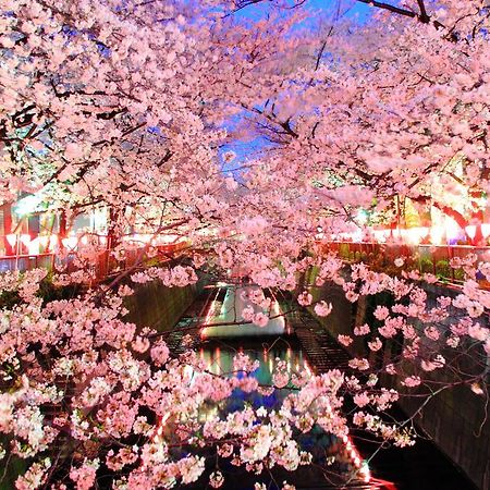 شقة Coto Tokyo Shibuya المظهر الخارجي الصورة