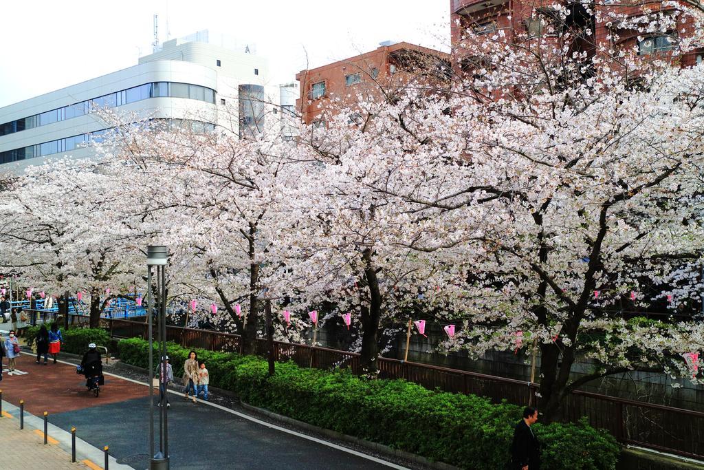 شقة Coto Tokyo Shibuya المظهر الخارجي الصورة